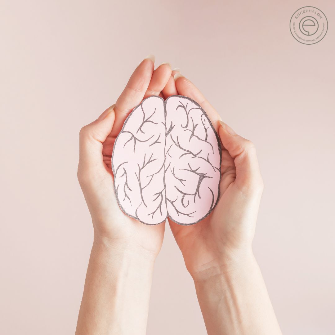 Brain