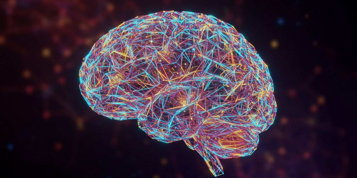 brain networks, brain injury